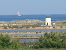 Close up of Parque Regional de las Salinas - where the Pink Flamingoes are nesting and futher behind Mediterenean Sea Playa de la Torre Derribada